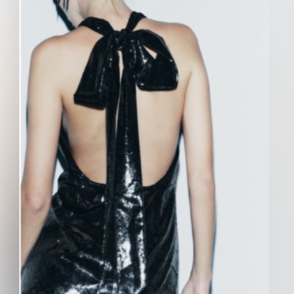 Zara L Shimmer Velvet Backless Dress - Picture 4 of 16